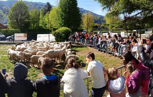 French school-...